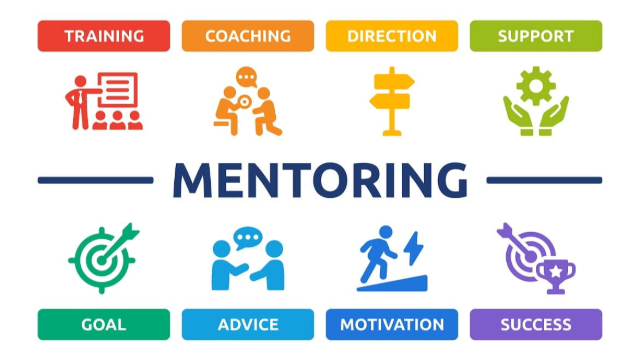 Training & Mentorship